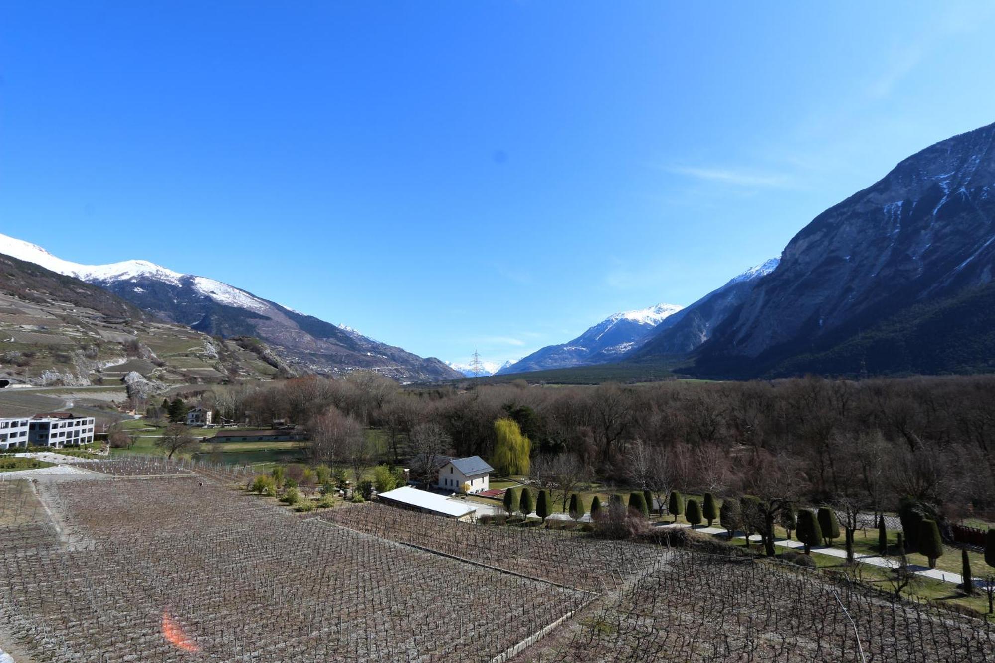 Bnb Vino Veritas Salgesch Exteriér fotografie