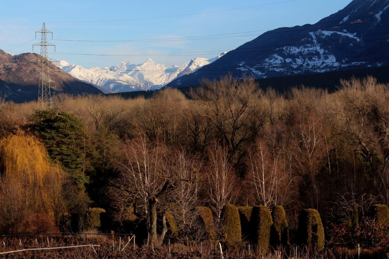 Bnb Vino Veritas Salgesch Exteriér fotografie