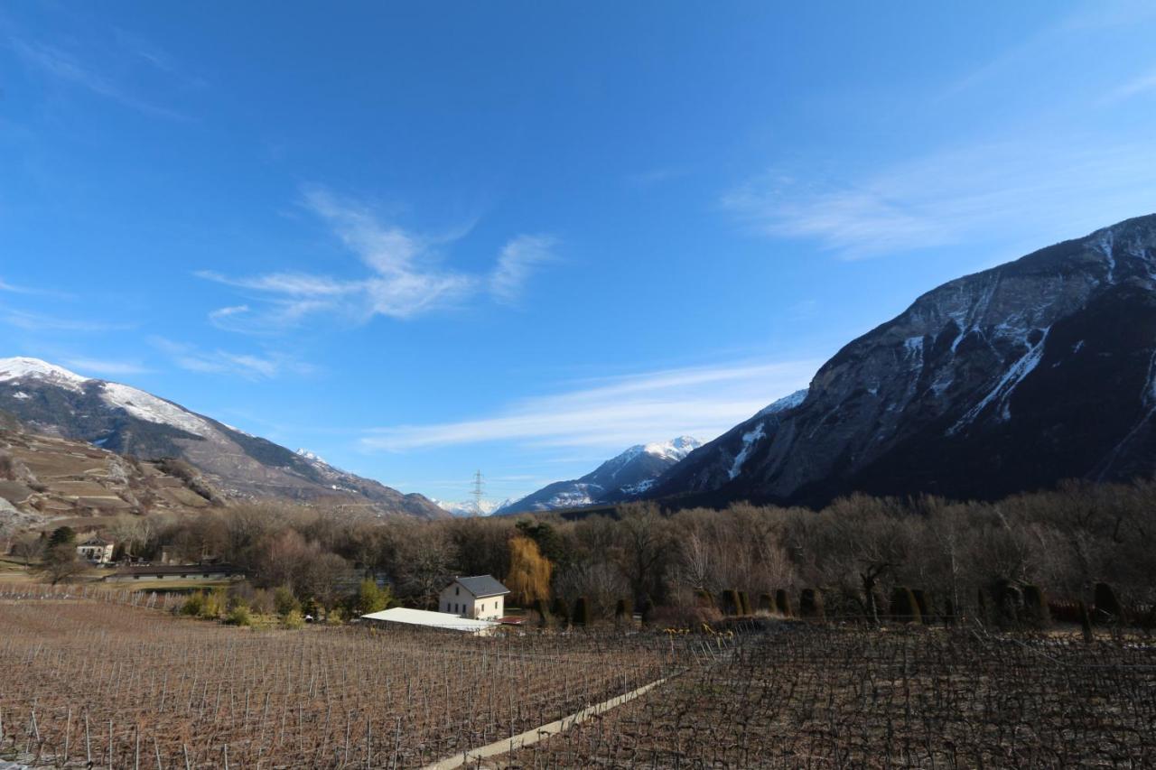 Bnb Vino Veritas Salgesch Exteriér fotografie