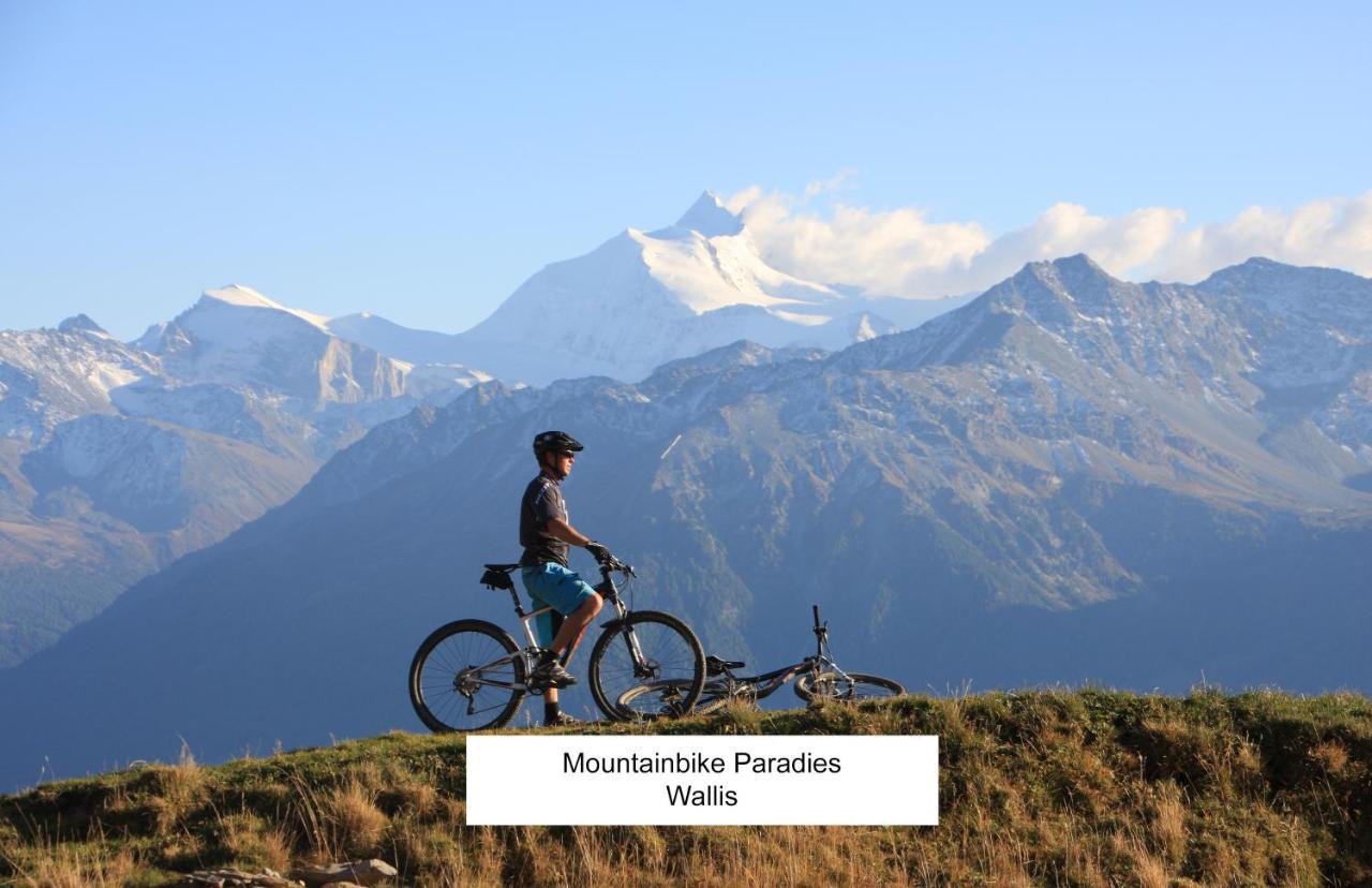 Bnb Vino Veritas Salgesch Exteriér fotografie