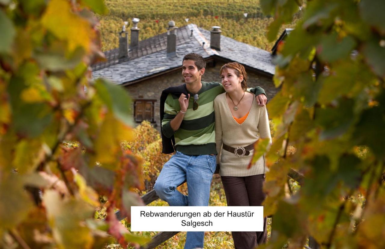 Bnb Vino Veritas Salgesch Exteriér fotografie